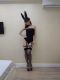   ,  +7 (918) 063-8264